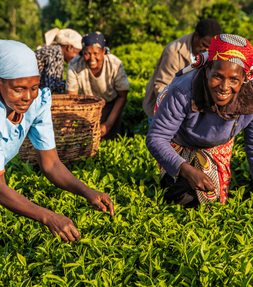 What East Africa Has to Offer: